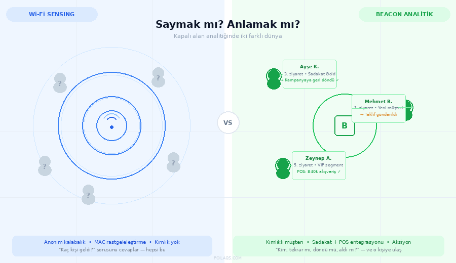 Saymak ve Anlamak